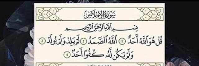 ريـــ🕊ـــم banner