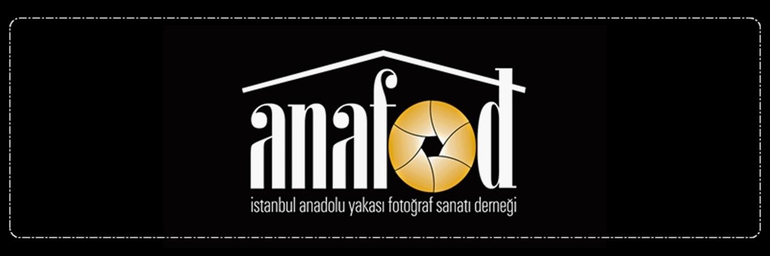 anafod's profile banner image