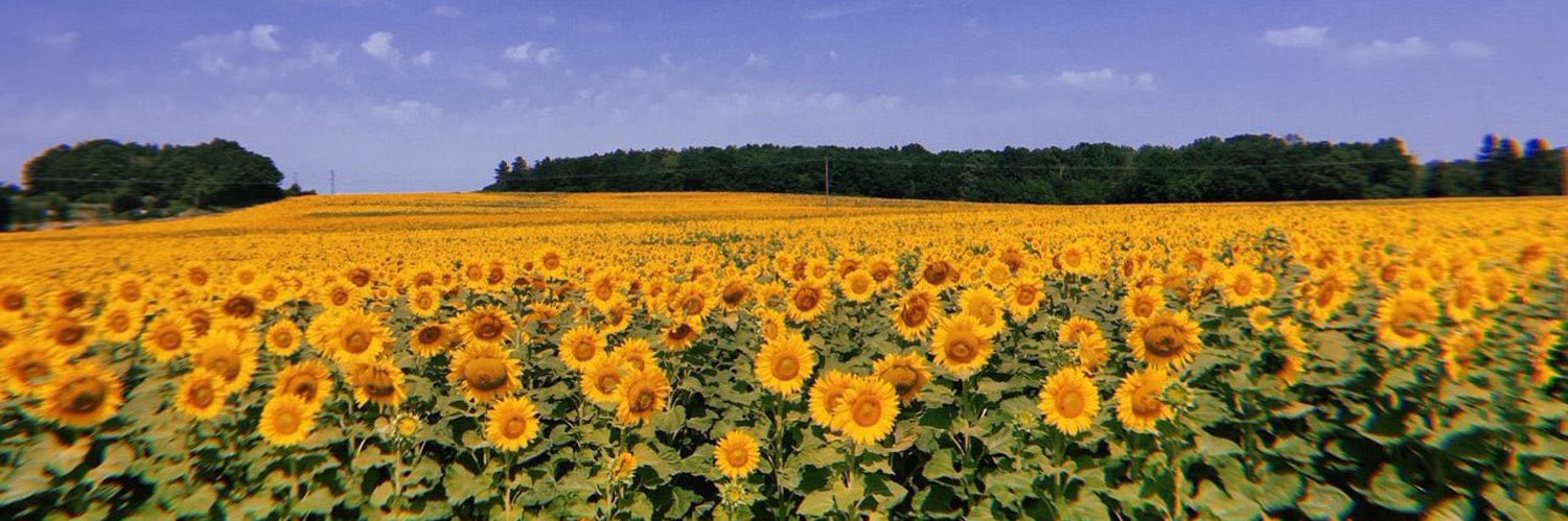 🌻 Samantha Coe banner