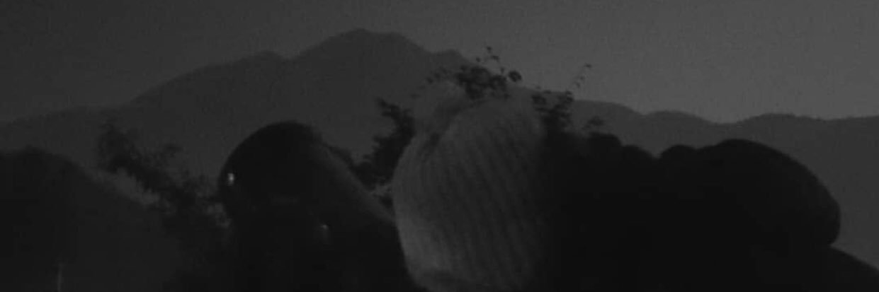 bleuabread's profile banner image