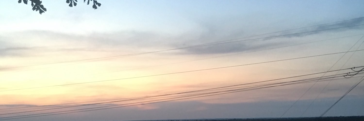 Zelda_Crossing8's profile banner image