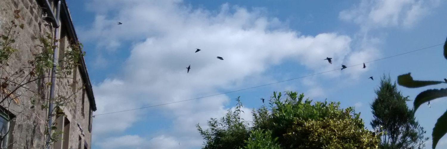 Ruth Vorstman banner