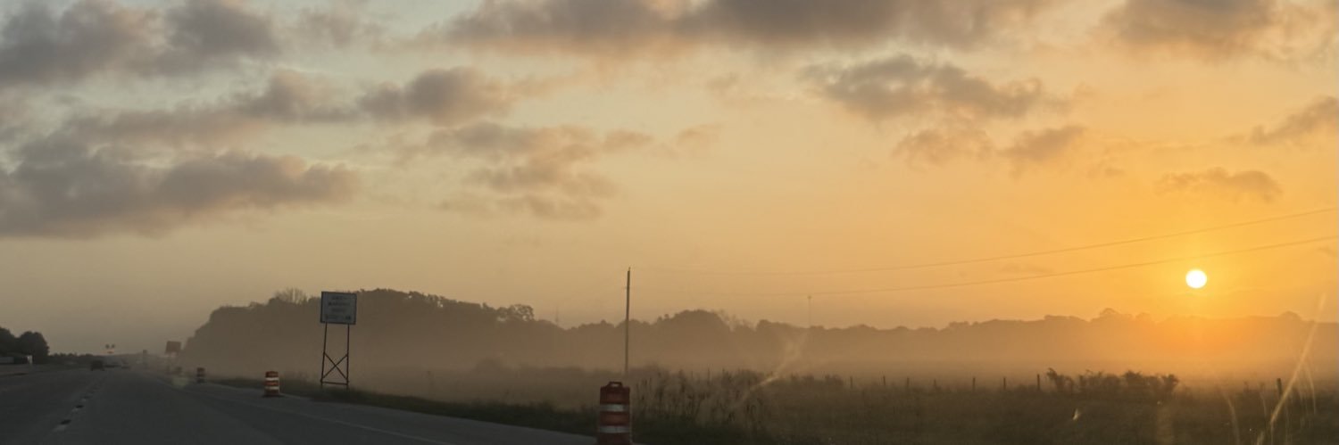 meminyetis's profile banner image