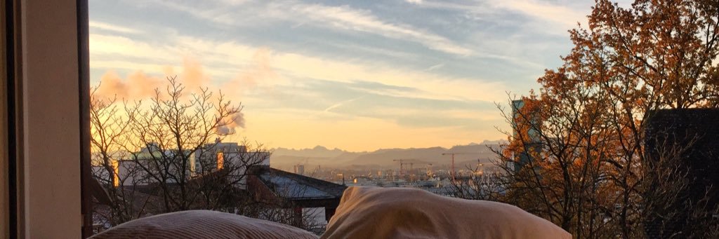 seeniazh's profile banner image
