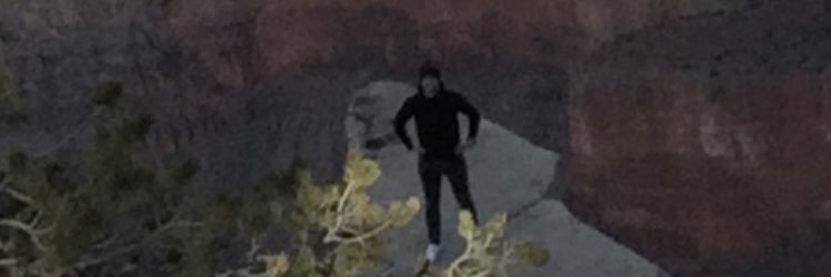 AlexBeltCollective😀🌸 banner