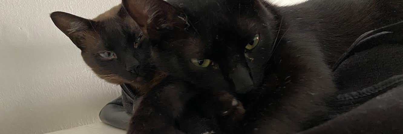 Marco Túlio Caetano banner