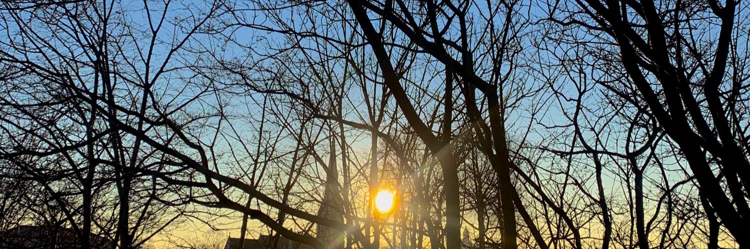 Flor_sp29's profile banner image