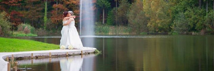 bethan770's profile banner image