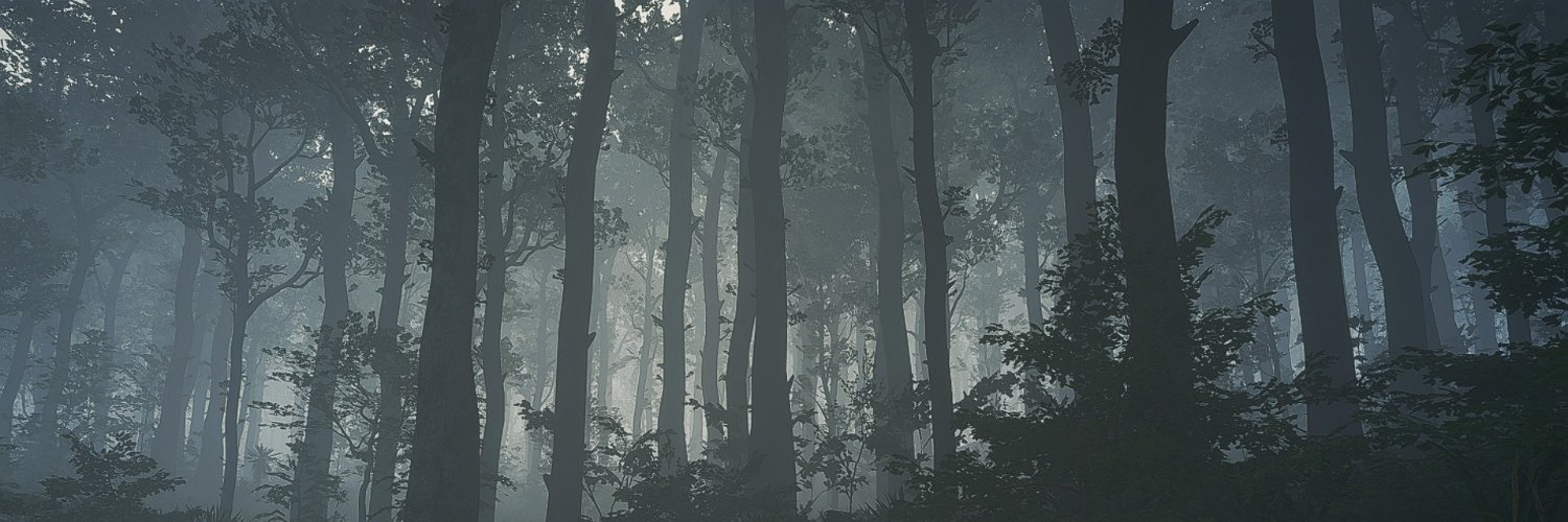 Razgriz1341's profile banner image