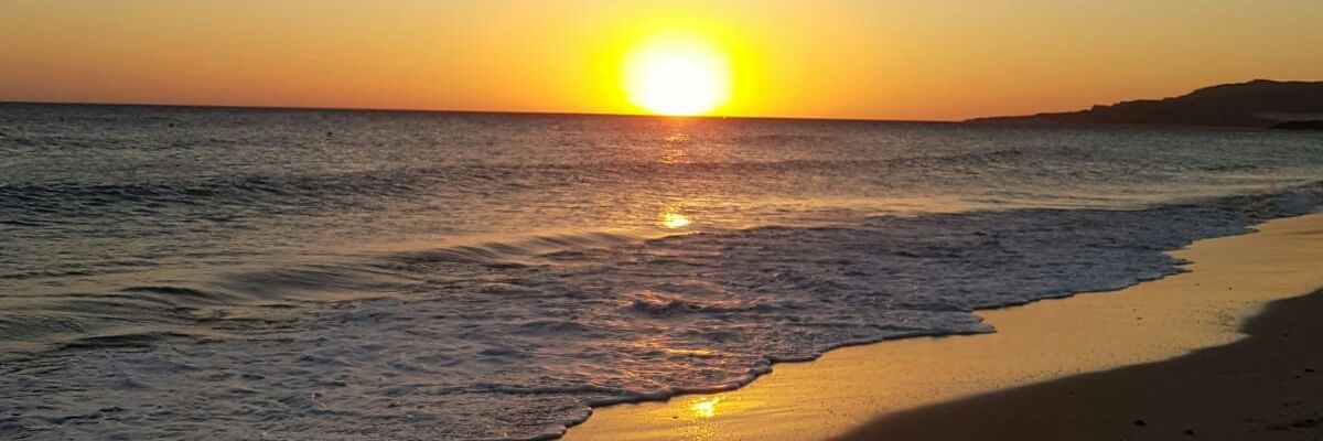 Patri317t's profile banner image