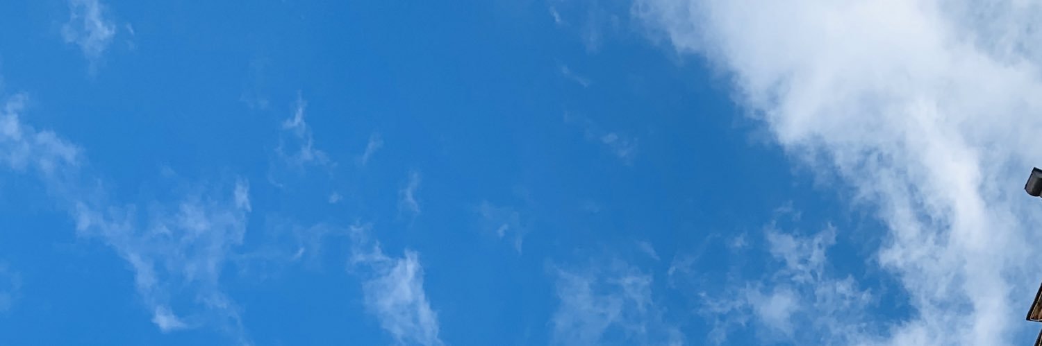 eltranquil0's profile banner image