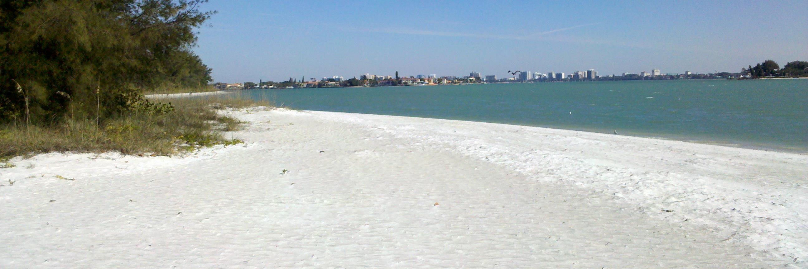 RoscoeDC's profile banner image
