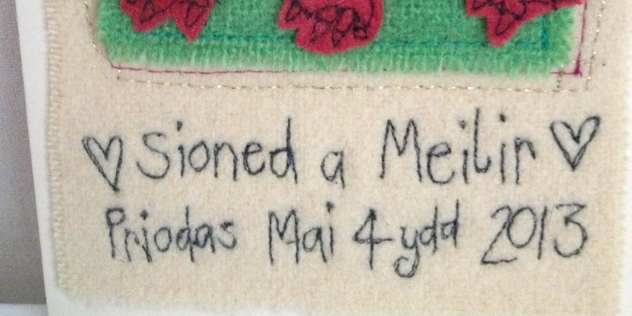 Sioned Medi Hughes banner