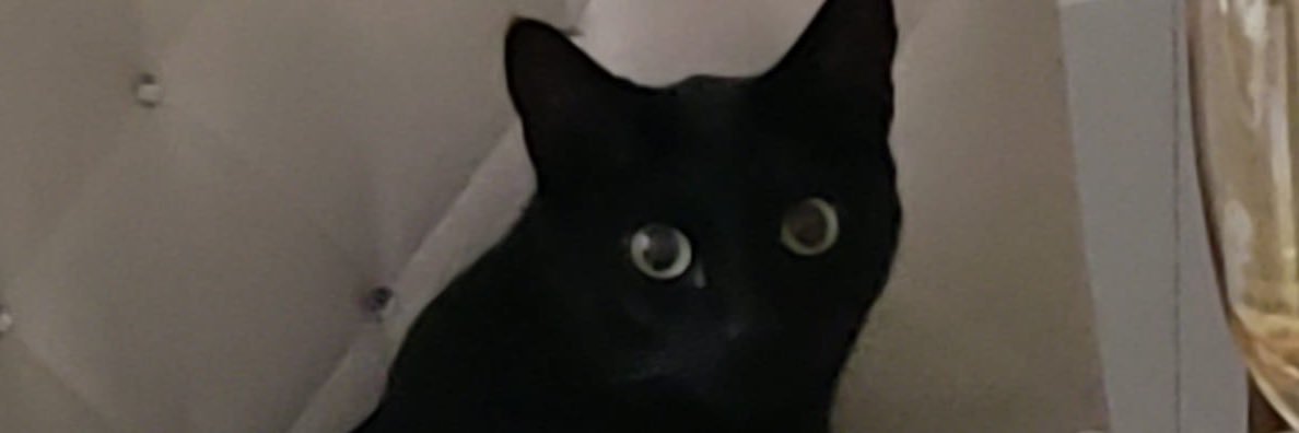docinho80's profile banner image
