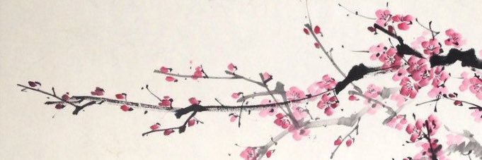 amoora_d's profile banner image