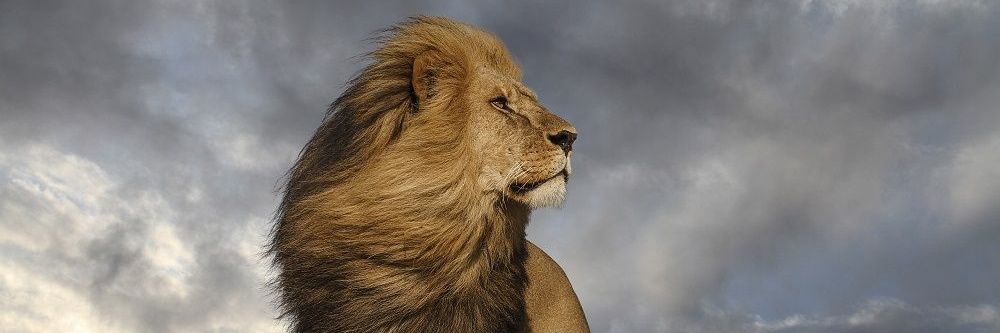 D_TGOD_'s profile banner image
