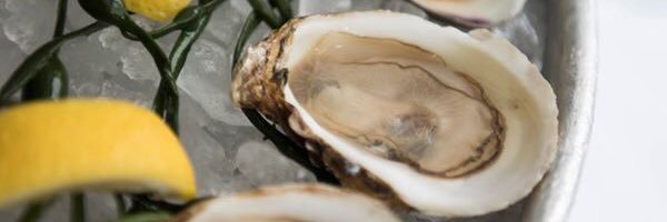 atlanticgrill's profile banner image