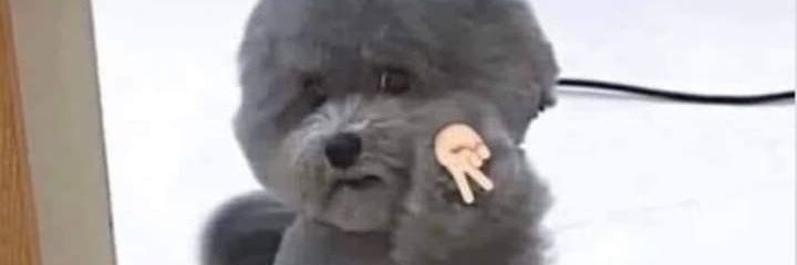wracee's profile banner image