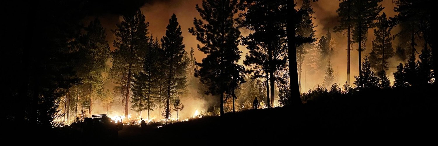 🅳🅰🆅🅸🅳 banner