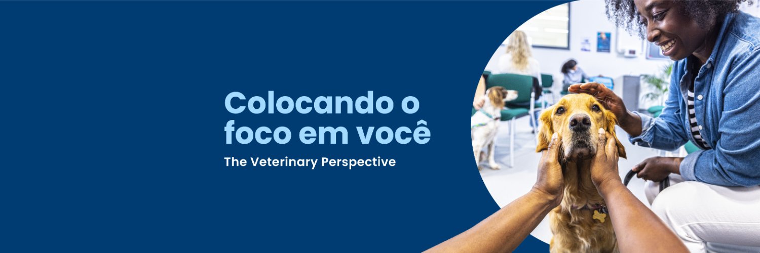 dechrabrasil's profile banner image