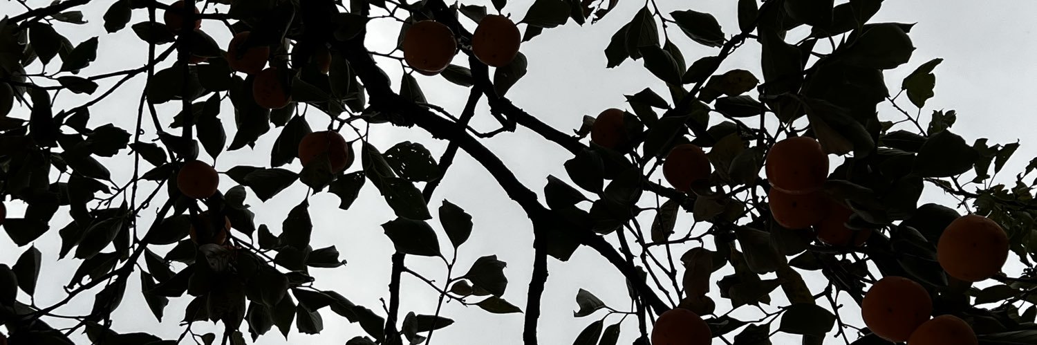 SheaAfterTomrrw's profile banner image