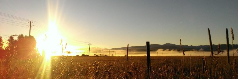 SteveGrumm's profile banner image