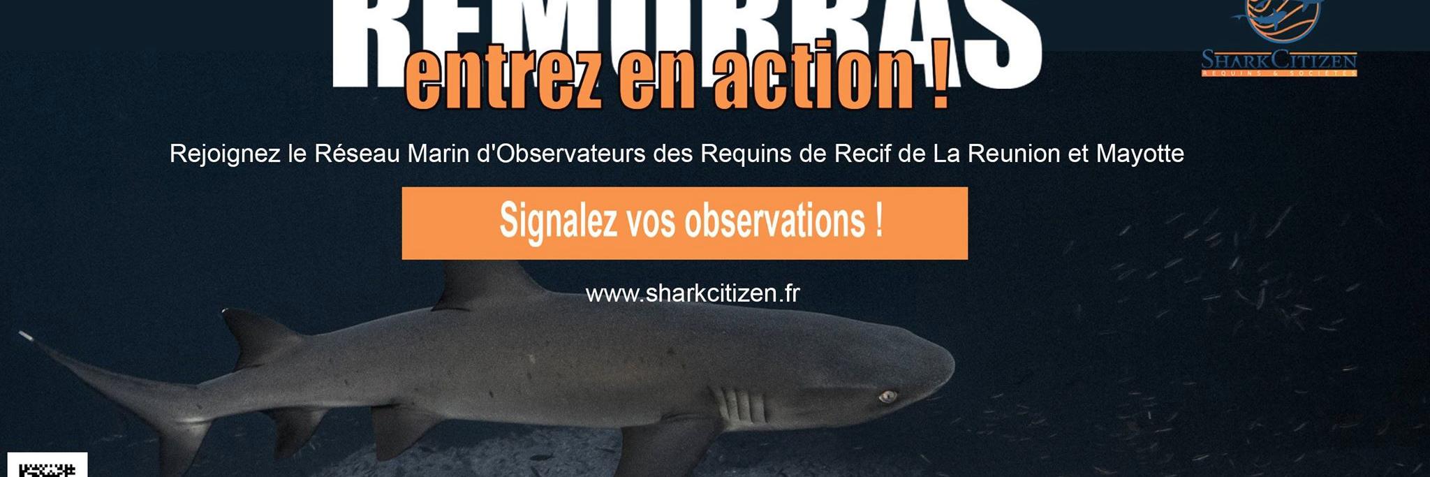 sharkcitizen's profile banner image