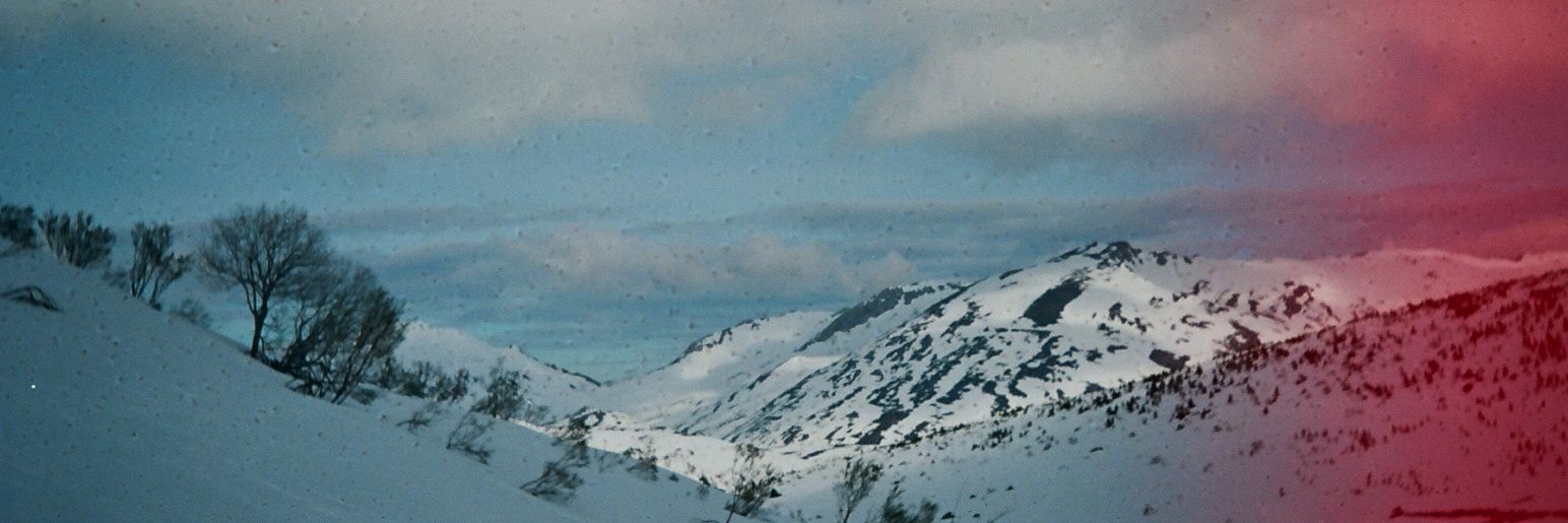 inmuns's profile banner image
