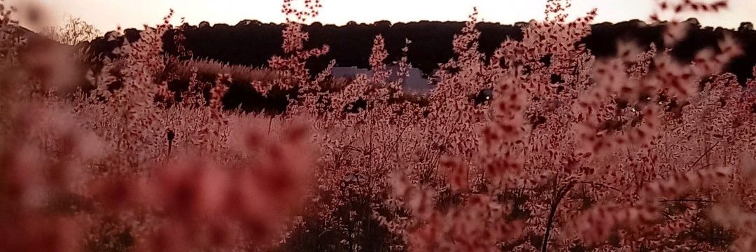 Ari_says's profile banner image