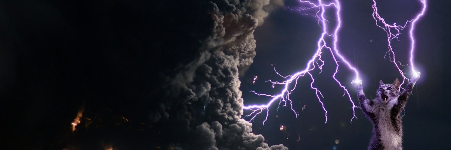 teslacrypto's profile banner image