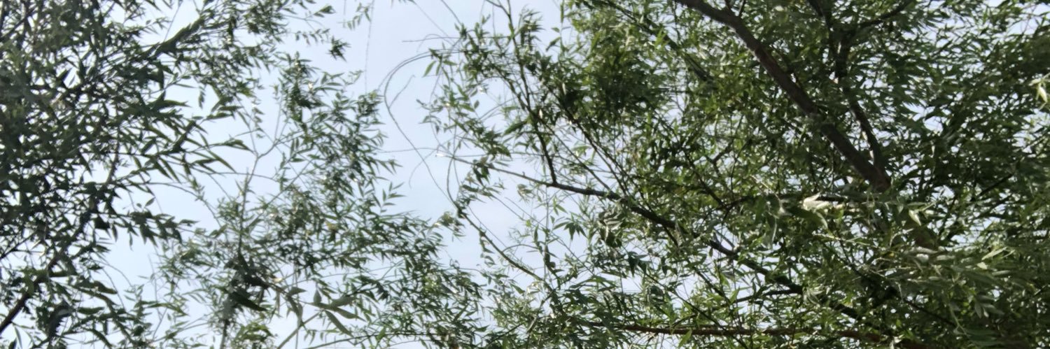 ctokuma's profile banner image