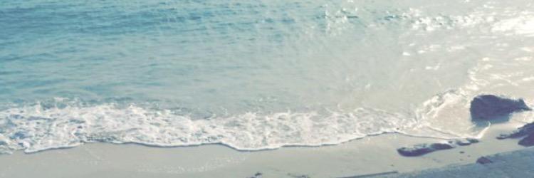 ass083's profile banner image
