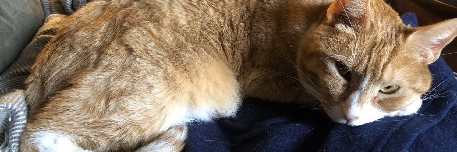 _mmegs's profile banner image