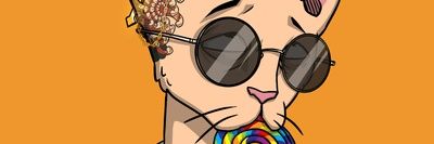 Noisebars 🟡 banner