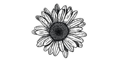 aimstoree's profile banner image