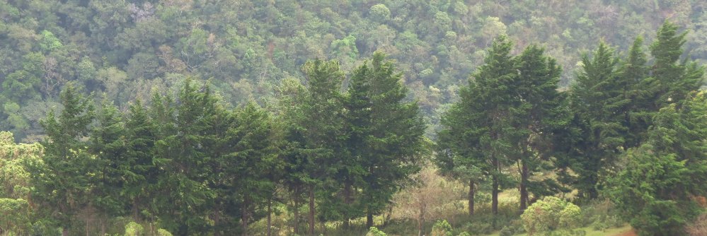 nahun005's profile banner image