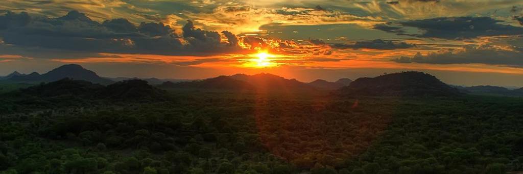 Niels Aelfers banner