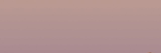 Dick_Boy6969's profile banner image