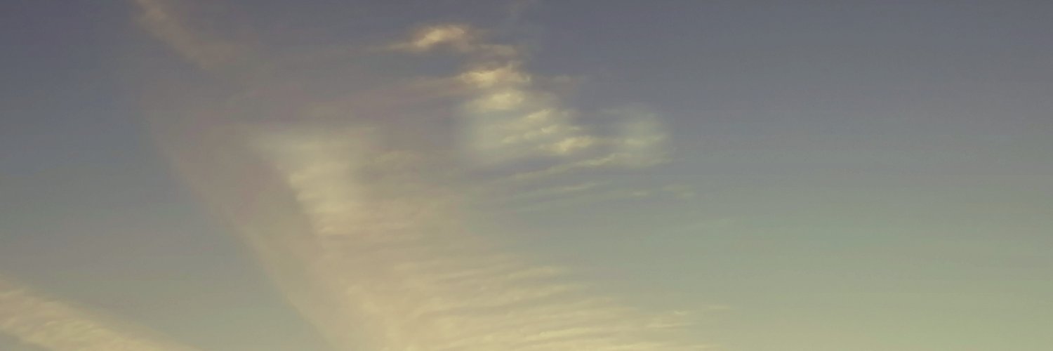 lightfulocean's profile banner image