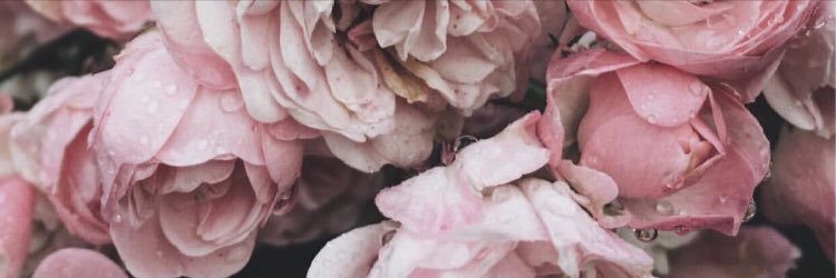 kal4315656's profile banner image