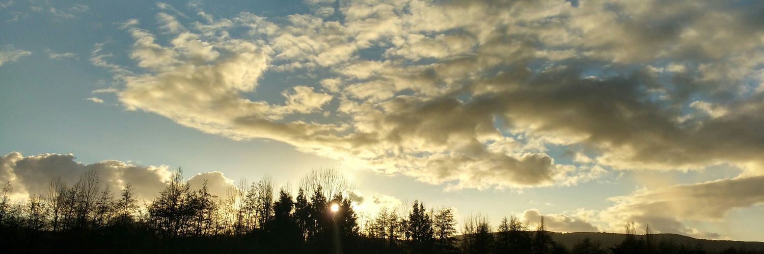 hildix's profile banner image