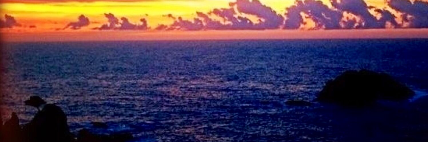 MIGUELMARTINEZROJANO banner