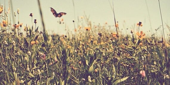 Hayfever1223's profile banner image