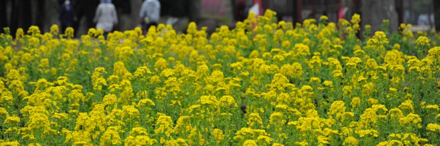 くまごろう banner