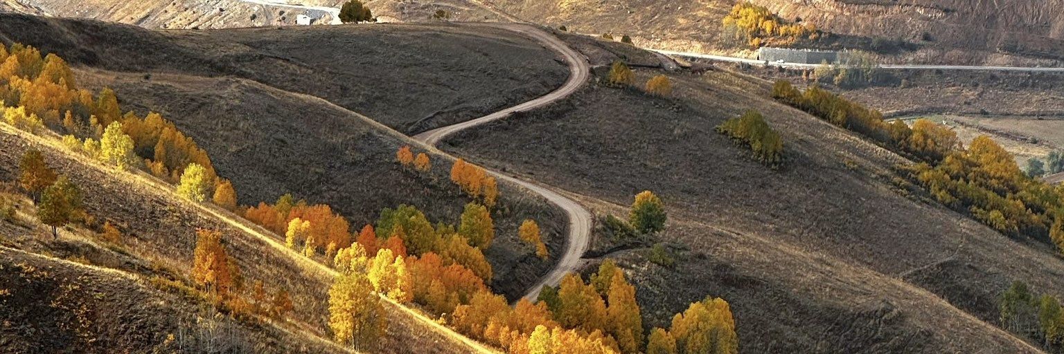 _semalar_'s profile banner image