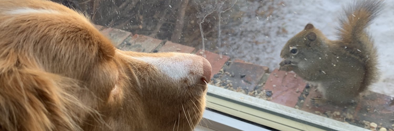 Lesly Wade-Woolley banner