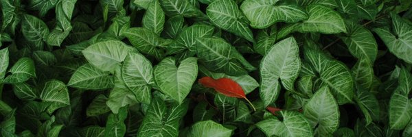 uoEnvironment Profile Banner