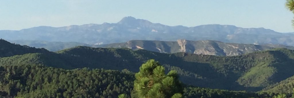 Nieves Martínez banner