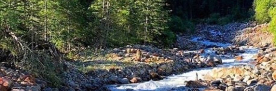 Barron Ryback banner