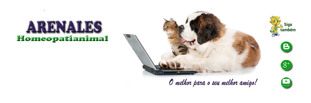 LabArenales's profile banner image